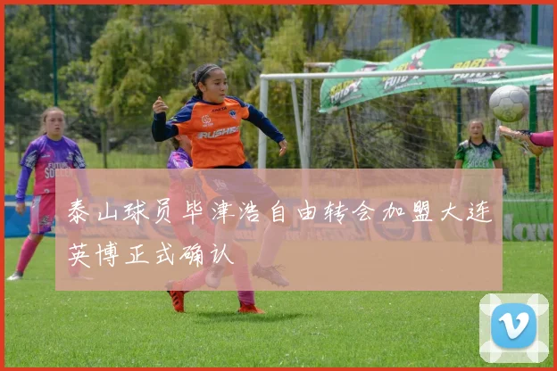 泰山球员毕津浩自由转会加盟大连英博正式确认